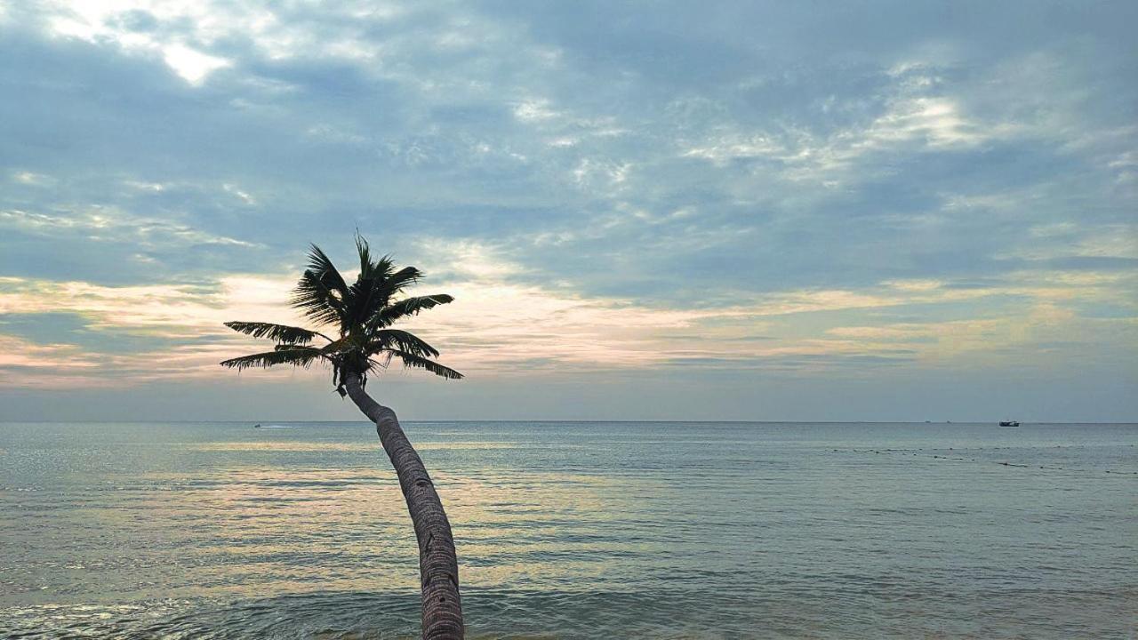 Anna Beach דואונג דונג מראה חיצוני תמונה